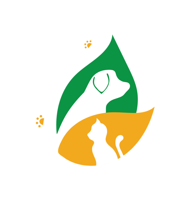 OFE LLC